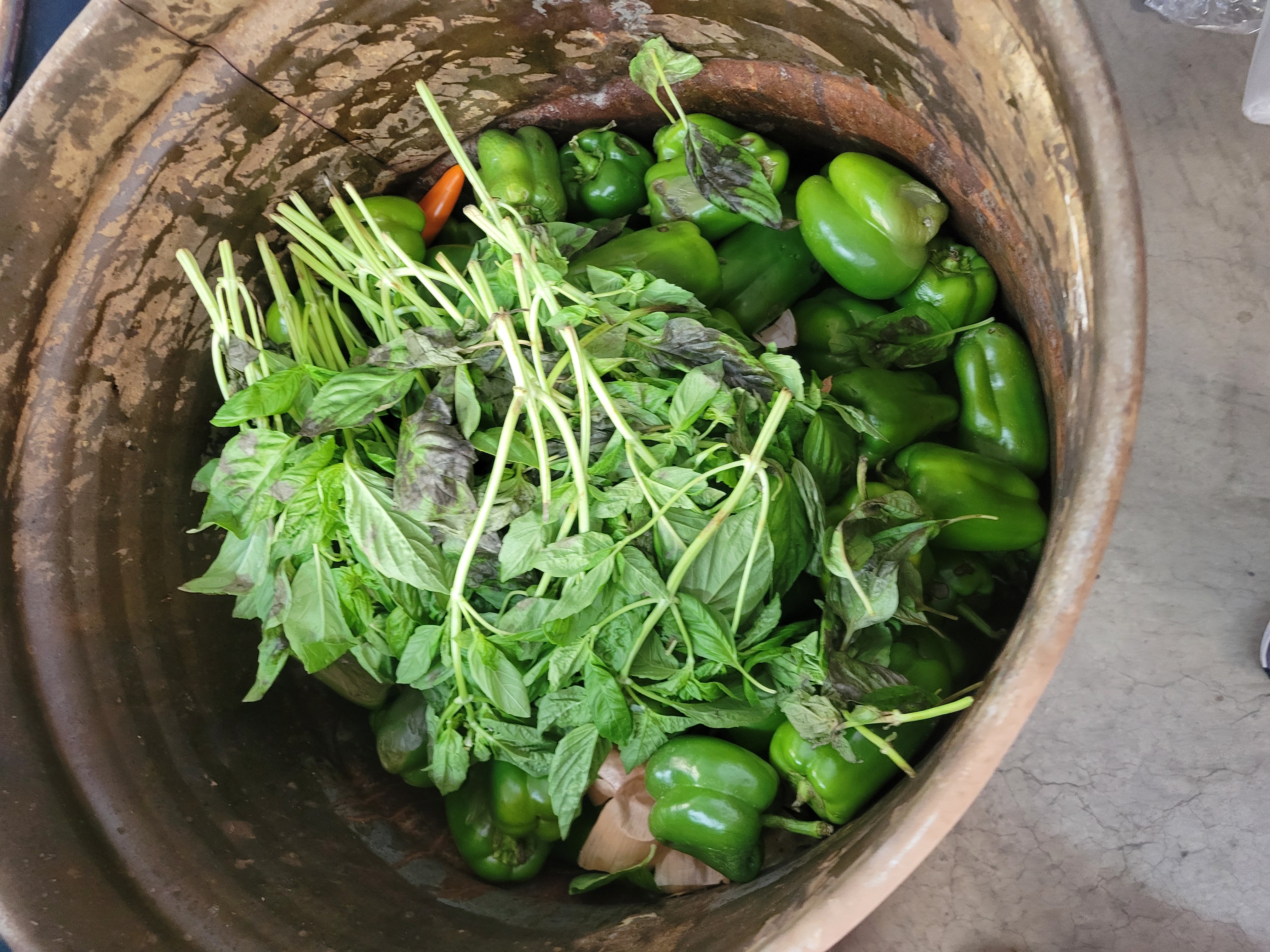 Rotten bellpeppers and leafy greens in a barrel.
